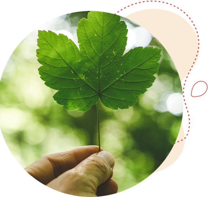 Biscuiterie Astruc : Responsabilité sociétale et environnementale