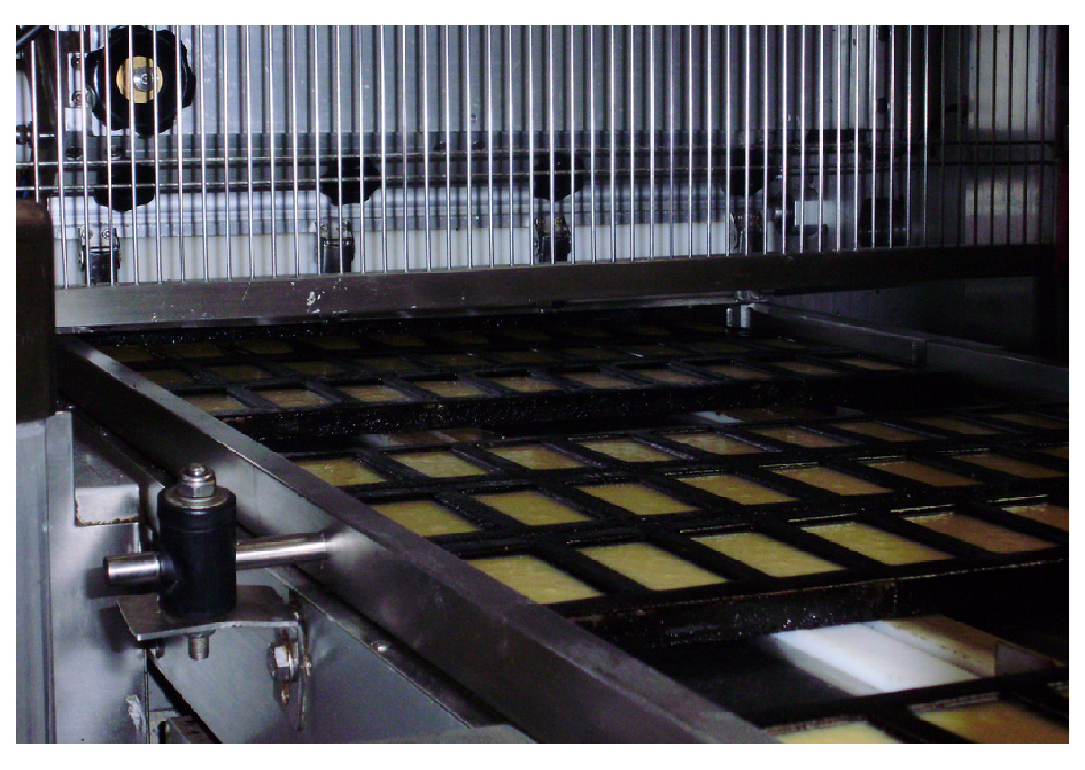 Astruc 2008 Astruc 2008